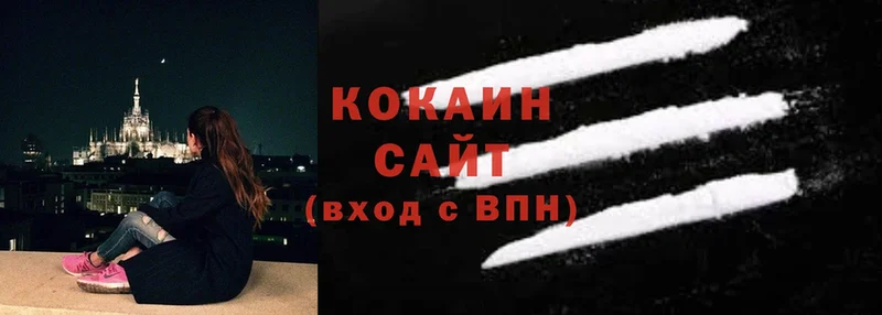 цены   Новомосковск  КОКАИН FishScale 